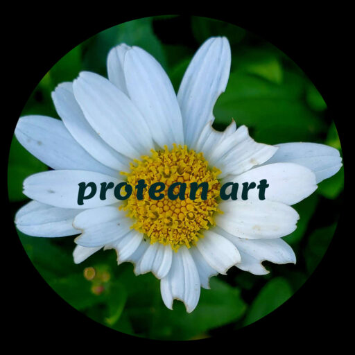 protean art